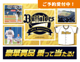 2025.4/10 〜9/30  プロ野球チームの始球式や観戦チケットが当たる！キャンペーン開催